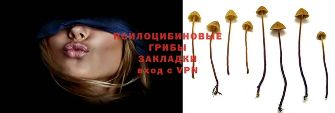 гашишное масло Ельня