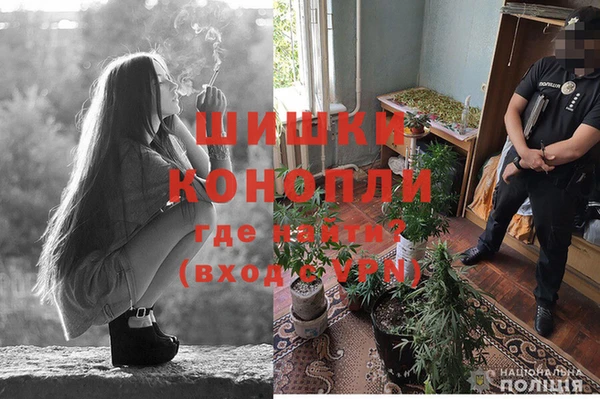 гидропоника Дмитров